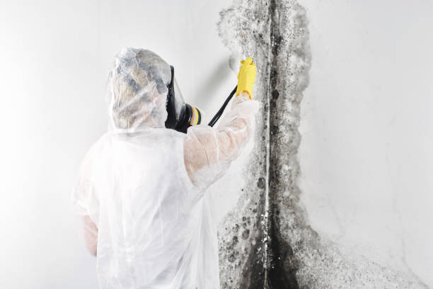 Local water damage restoration